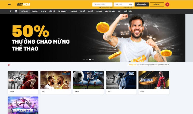 Điều kiện áp dụng khi sử dụng Betvisa