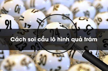 3 cách soi cầu quả trám chuẩn nhất