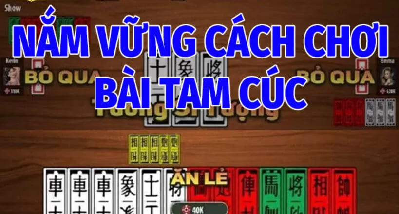Nắm Vững Cách Chơi Bài Tam Cúc Betvisa  Cơ Bản