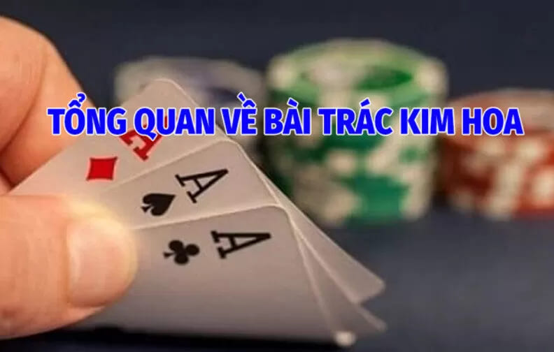 Tổng Quan Về Bài Trác Kim Hoa Betvisa